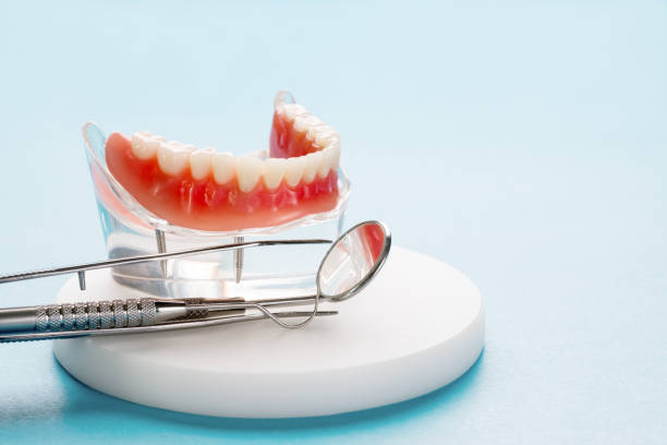Trusted Madison, MN Holistic Dental Care Services Experts